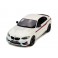 BMW (F87) M2 M Performance 2016, GT Spirit 1/18 scale